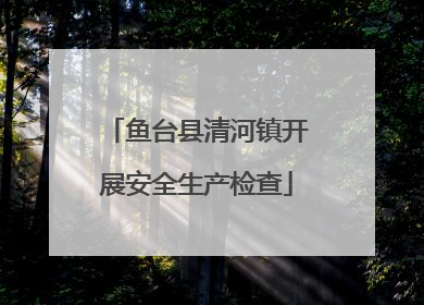 鱼台县清河镇开展安全生产检查