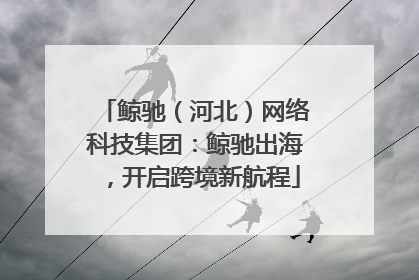 鲸驰（河北）网络科技集团：鲸驰出海，开启跨境新航程