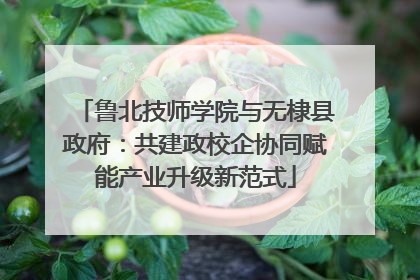 鲁北技师学院与无棣县政府：共建政校企协同赋能产业升级新范式
