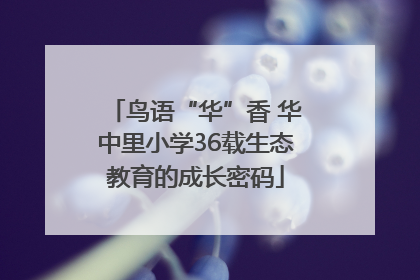 鸟语“华”香 华中里小学36载生态教育的成长密码