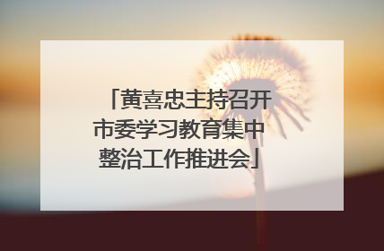 黄喜忠主持召开市委学习教育集中整治工作推进会