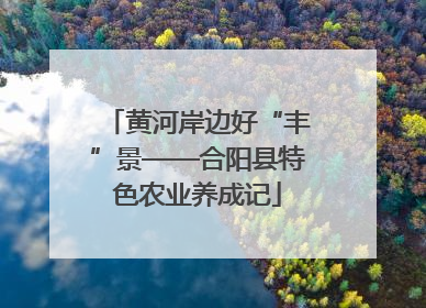 黄河岸边好“丰”景——合阳县特色农业养成记