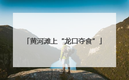 黄河滩上“龙口夺食”