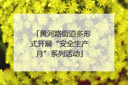 黄河路街道多形式开展“安全生产月”系列活动