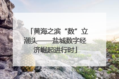 黄海之滨“数”立潮头——盐城数字经济崛起进行时