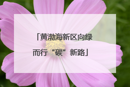 黄渤海新区向绿而行“碳”新路