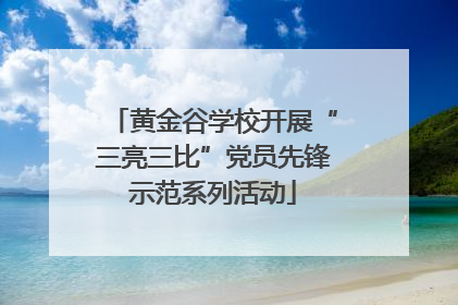 黄金谷学校开展“三亮三比”党员先锋示范系列活动