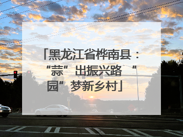 黑龙江省桦南县：“蒜”出振兴路 “园”梦新乡村