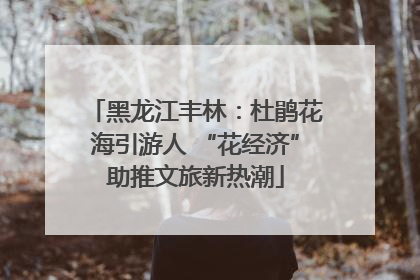 黑龙江丰林：杜鹃花海引游人 “花经济”助推文旅新热潮