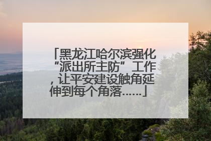 黑龙江哈尔滨强化“派出所主防”工作，让平安建设触角延伸到每个角落……