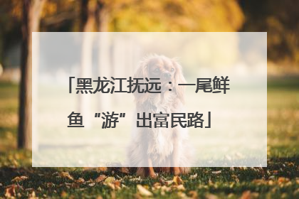 黑龙江抚远：一尾鲜鱼“游”出富民路
