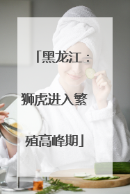 黑龙江：狮虎进入繁殖高峰期