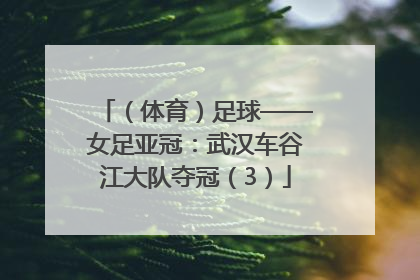 （体育）足球——女足亚冠：武汉车谷江大队夺冠（3）