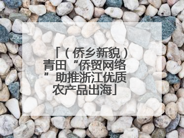 （侨乡新貌）青田“侨贸网络”助推浙江优质农产品出海