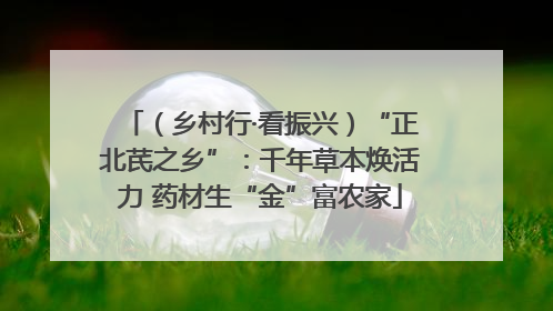（乡村行·看振兴）“正北芪之乡”：千年草本焕活力 药材生“金”富农家