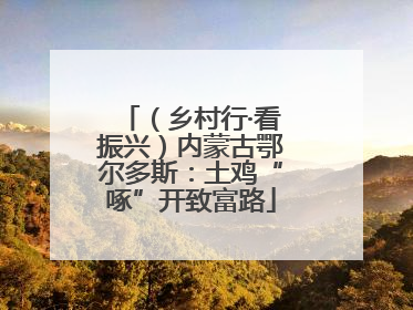 （乡村行·看振兴）内蒙古鄂尔多斯：土鸡“啄”开致富路