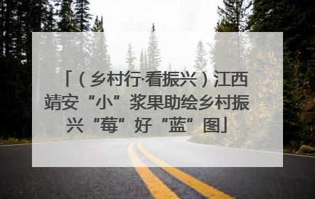 （乡村行·看振兴）江西靖安“小”浆果助绘乡村振兴“莓”好“蓝”图