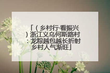 （乡村行·看振兴）浙江义乌何斯路村：龙粽越包越长折射乡村人气渐旺