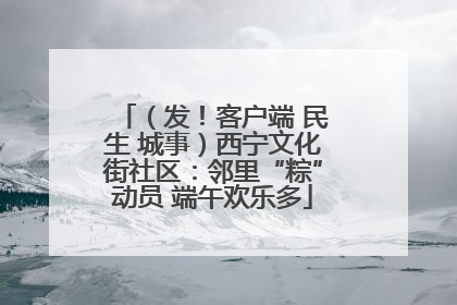 （发！客户端 民生 城事）西宁文化街社区：邻里“粽”动员 端午欢乐多