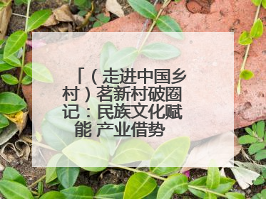 （走进中国乡村）茗新村破圈记：民族文化赋能 产业借势 “网红东风”