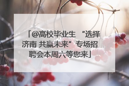 ＠高校毕业生 “选择济南 共赢未来”专场招聘会本周六等您来