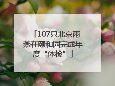 107只北京雨燕在颐和园完成年度“体检”