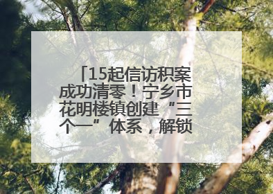 15起信访积案成功清零！宁乡市花明楼镇创建“三个一”体系，解锁基层治理新姿势