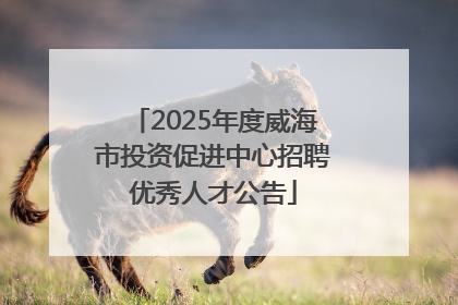 2025年度威海市投资促进中心招聘优秀人才公告