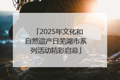 2025年文化和自然遗产日芜湖市系列活动精彩启幕