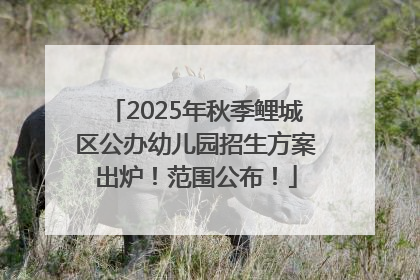 2025年秋季鲤城区公办幼儿园招生方案出炉！范围公布！