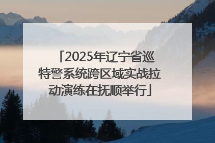 2025年辽宁省巡特警系统跨区域实战拉动演练在抚顺举行