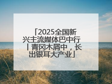 2025全国新兴主流媒体巴中行丨青冈木屑中，长出银耳大产业