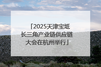 2025天津宝坻长三角产业链供应链大会在杭州举行