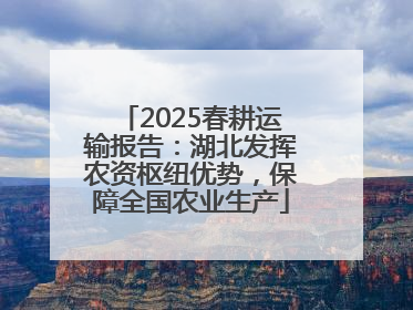 2025春耕运输报告：湖北发挥农资枢纽优势，保障全国农业生产