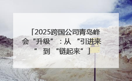 2025跨国公司青岛峰会“升级”：从 “引进来” 到 “链起来”