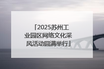 2025苏州工业园区网络文化采风活动圆满举行