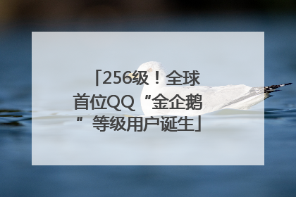 256级！全球首位QQ“金企鹅”等级用户诞生