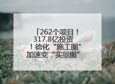 262个项目！317.8亿投资！德化“施工图”加速变“实景图”，现场燃爆了！