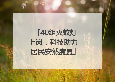 40组灭蚊灯上岗，科技助力居民安然度夏