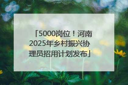 5000岗位！河南2025年乡村振兴协理员招用计划发布