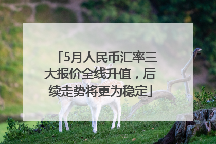 5月人民币汇率三大报价全线升值，后续走势将更为稳定