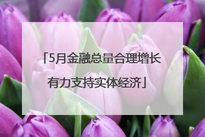 5月金融总量合理增长 有力支持实体经济