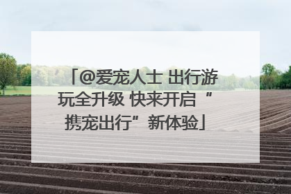 @爱宠人士 出行游玩全升级 快来开启“携宠出行”新体验