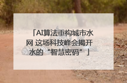 AI算法重构城市水网 这场科技峰会揭开水的“智慧密码”